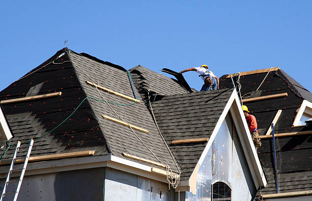 Best Gutter Installation and Roofing  in Buena Vista, MI