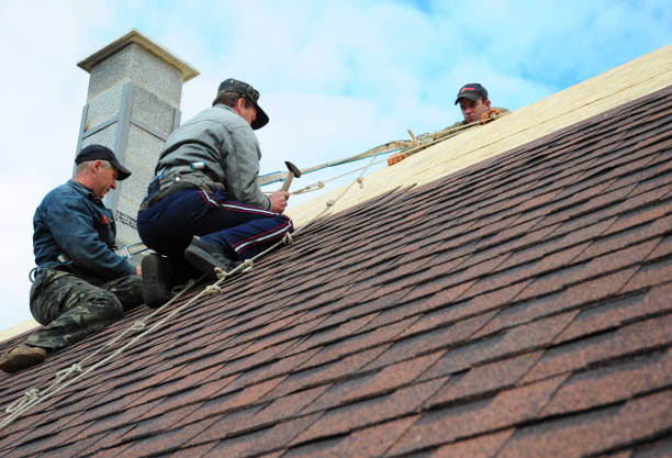 Best Metal Roofing Contractor  in Buena Vista, MI