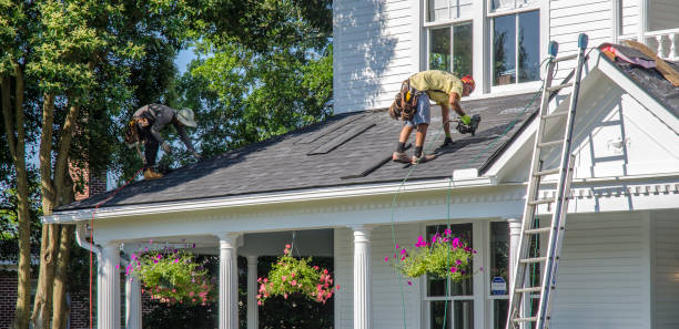 Best Local Roofing Companies  in Buena Vista, MI